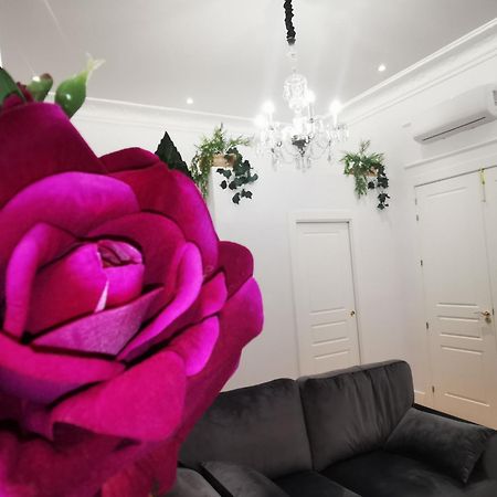 Rua Suites Boutique Salamanca Rom bilde