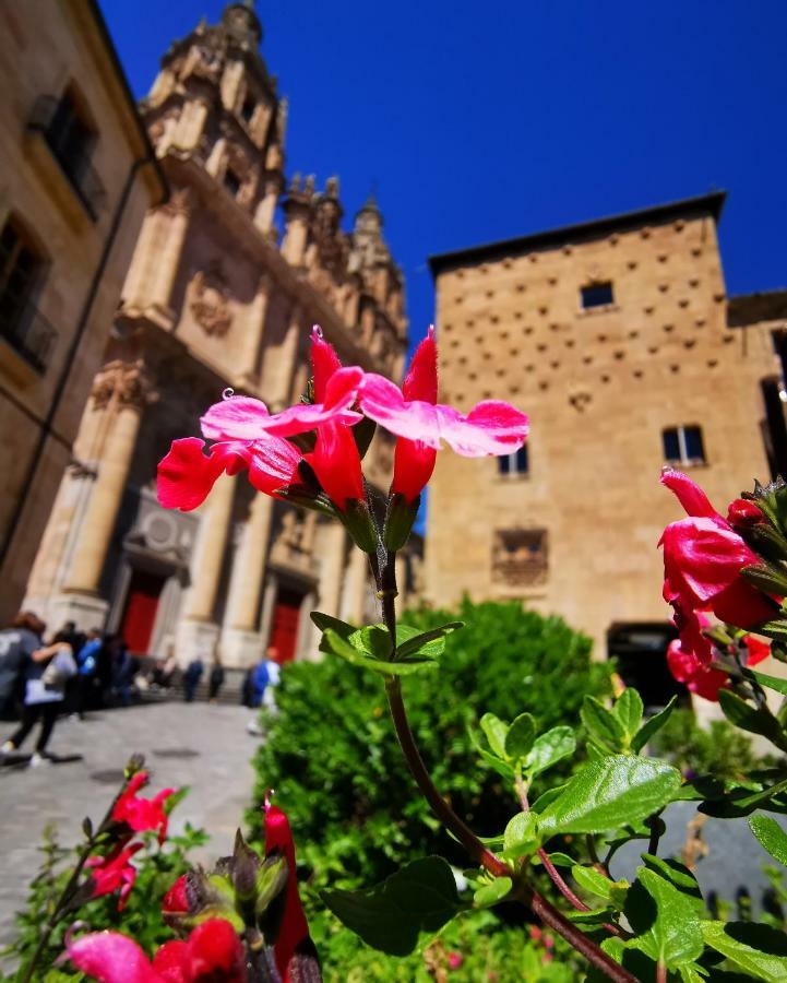 Rua Suites Boutique Salamanca Eksteriør bilde